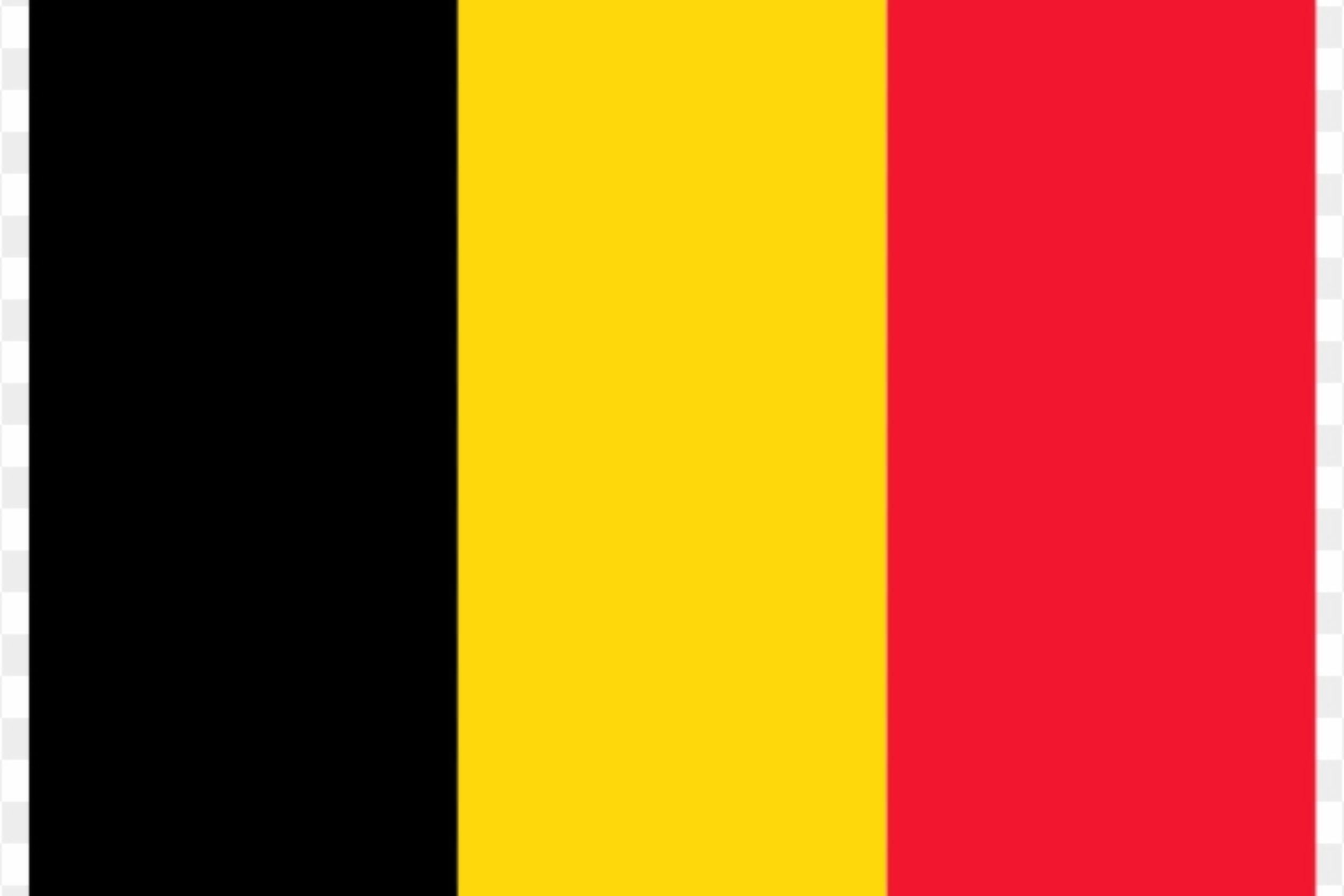Flag 2