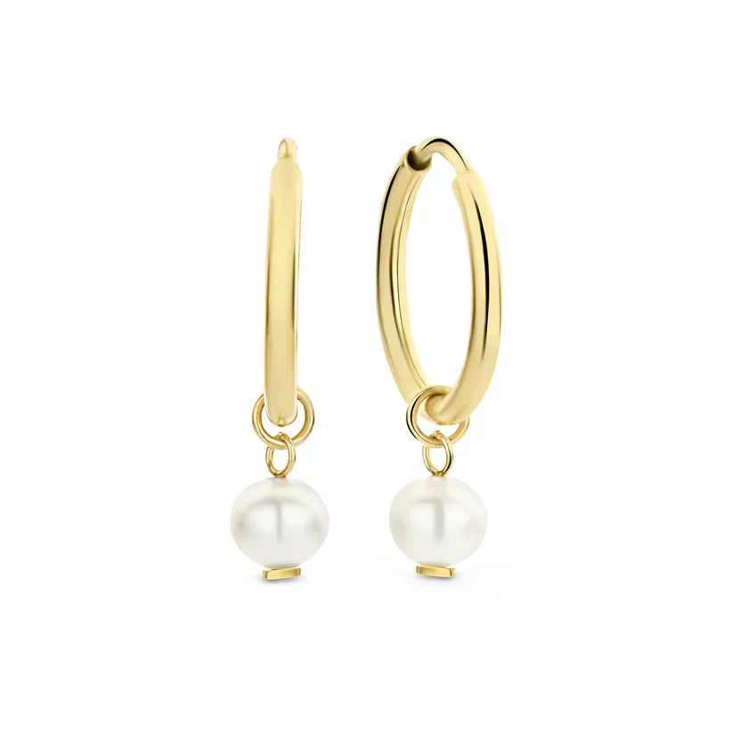 Delia Crest oorbellen | goud