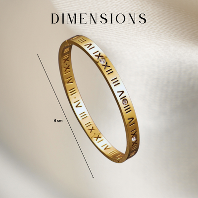 Titanium Armband met Romeinse Numerals